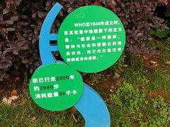 -洛龙公园