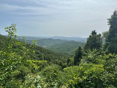 -照金香山旅游景区