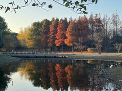 -同里国家湿地公园