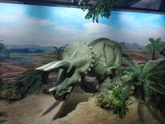 -国家自然博物馆