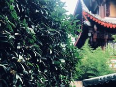 -香园自助小火锅