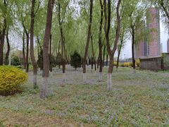 -东升八家郊野公园