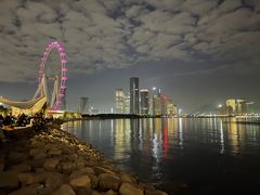 -宝安西湾红树林湿地公园