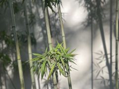 -南浔古镇
