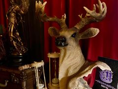 -雪灵魔法世界SHELLY’S TAROT(大良桂畔里店)