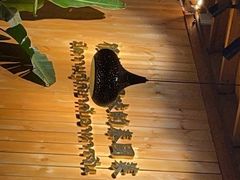 -泰堤坊(淡水体育馆店)