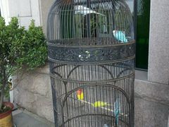 android_upload_pic-老味道民宿(栈桥店)