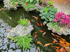 -广州白天鹅宾馆