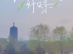 -永定河休闲森林公园