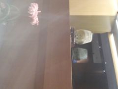-A One Kitchen·南京精菜馆(德基广场店)