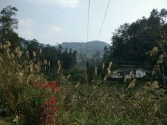 -樱桃山旅游景区