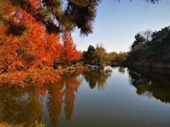 -国家植物园南园