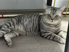 -联合动物医院(光谷诊疗中心)