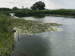 -太湖湖滨国家湿地公园-停车场