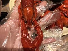 -巴厘龙虾·榜首油焖大虾(音乐学院·沿江酒馆店)