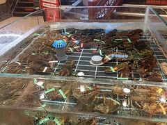 -五味坊·大渔市(瑞丰商博城店)