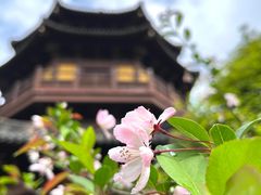 -慧因高丽寺
