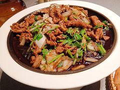 -秀儿四九城·新京菜(亚运村鸟巢店)