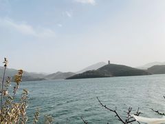 -望湖烤鱼