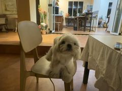 -朋友家餐厅·民宿(龙泉阳光城百工堰公园店)
