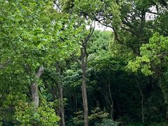 -普陀山风景名胜区-千步大沙