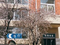 -复旦大学附属华山医院(浦东院区)