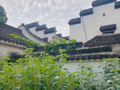 -丝绸小镇荻港古村