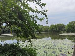 -西湖游船