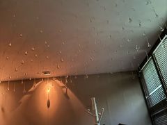 -Dragonfly悠庭·按摩Spa(新乐路店)