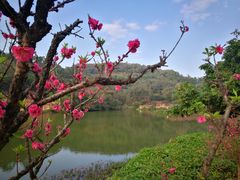 -南国桃园旅游度假区