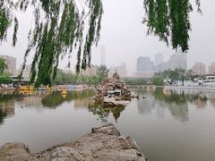 -团结湖公园