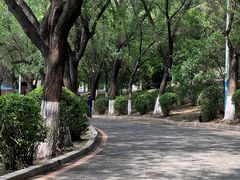 -丁香湖公园
