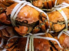 太湖大闸蟹-呼吸森林·生态农庄农家乐私房菜