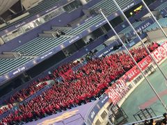 -南京奥林匹克体育中心-体育馆