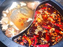 -销魂美蛙鱼头火锅(上海首店)