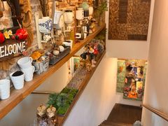 -六月花园咖啡馆(中关村东路店)