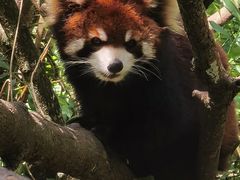 -普洱太阳河森林公园