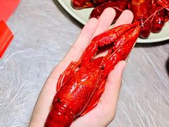 -巴厘龙虾·榜首油焖大虾(洞庭·艺术洋房店)