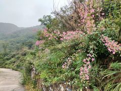 -北京上方山国家森林公园