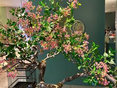 -潮上潮(南中环店)