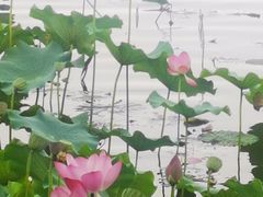 -上海市保健医疗中心