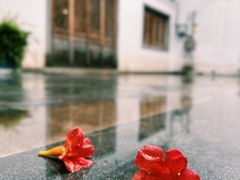 -老门东历史文化街区