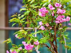 -西山漾湿地公园