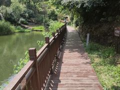 -桃花岭景区