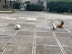 -采石矶景区