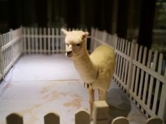 -舟山朱家尖威斯汀酒店·知味标帜自助餐厅