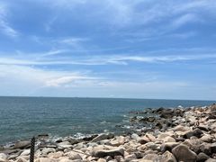 -广东惠东海龟国家级自然保护区
