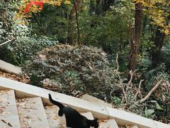 -宝通禅寺