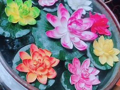 -吉祥圣雪藏餐
