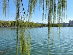 -济南国际园博园